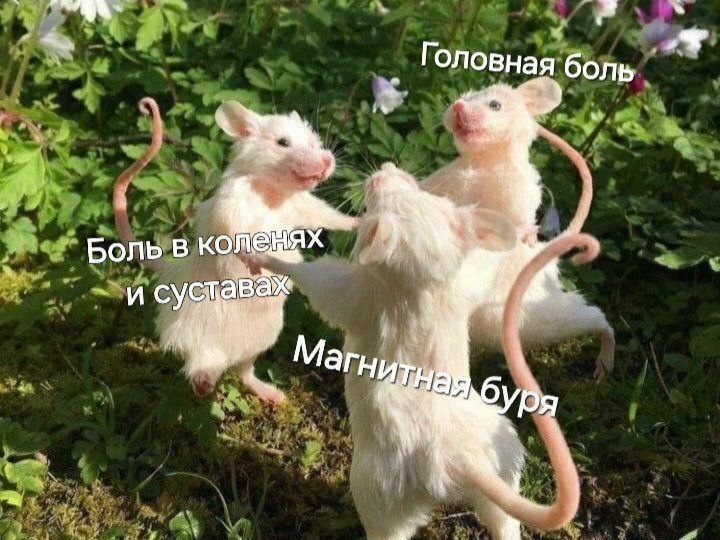 Тагильчане, держаться: опять бушует магнитная буря