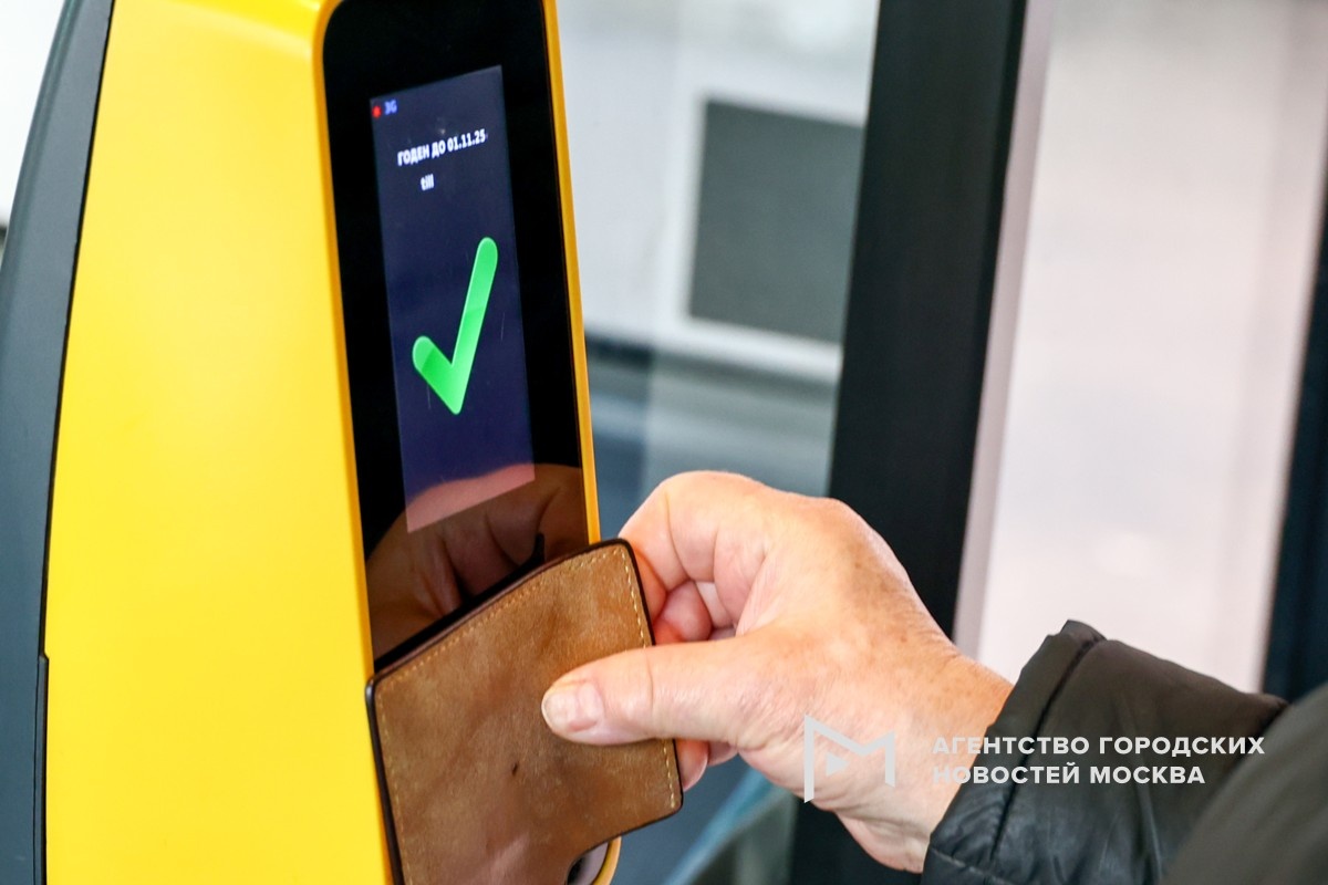 Фотограф: Ярослав Чингаев