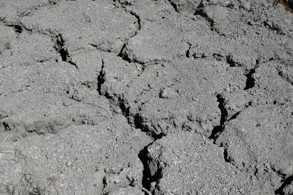 Фото: Гала Амарандо