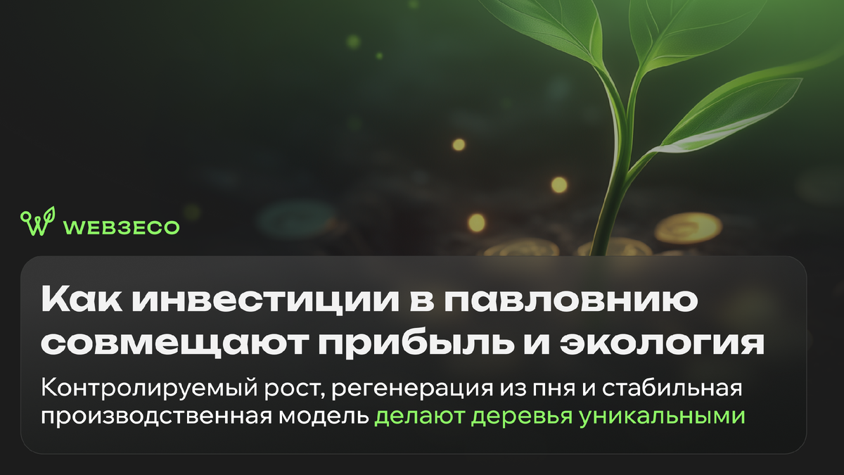 Как инвестиции в павловнию совмещают прибыль и экология. Контролируемый рост, регенерация из пня и стабильная производственная модель делают деревья уникальными