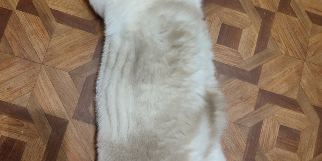 Дела идут по плану. Ну, я надеюсь…