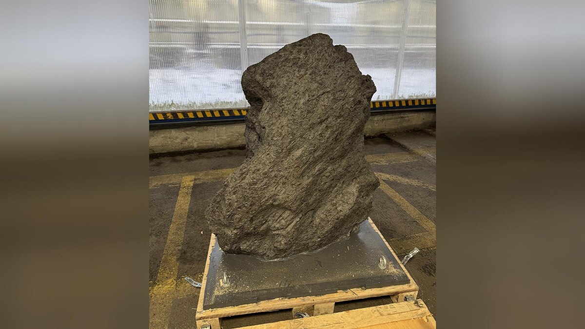    Фото: пресс-служба Балтийской таможни