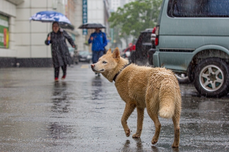     Тематическое фото. Фото: ИА OmskMedia