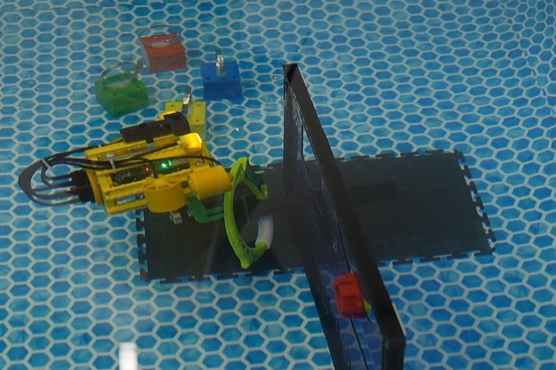    Фото: Влада Яковлева, nsknews.info