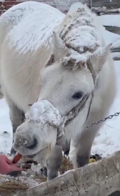    Фото: Из личного архивa/ Ирина Данилова