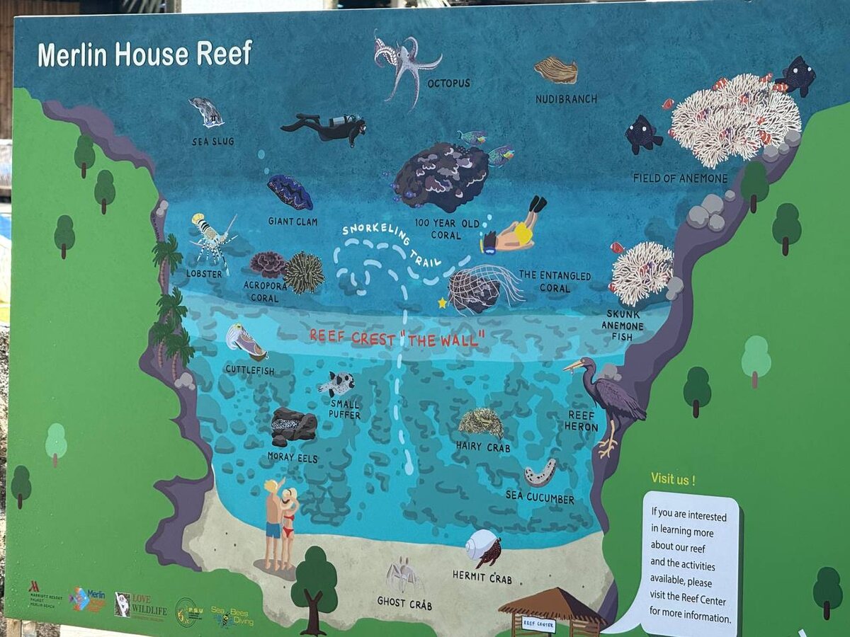 Карта рифа на пляже Мерлин.