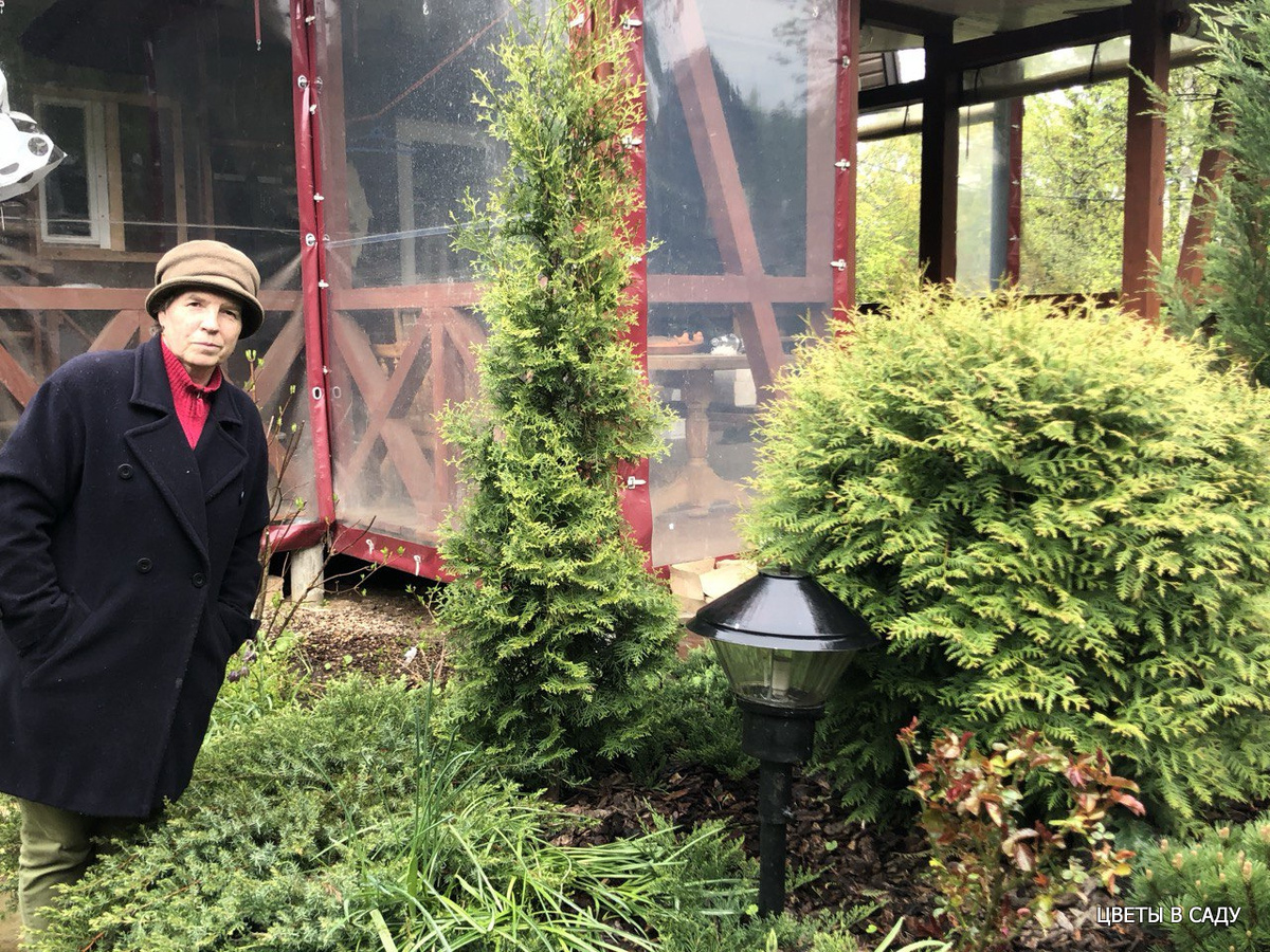 Резвина Н.В. у хвойной группы около дома 23 мая 2020 года