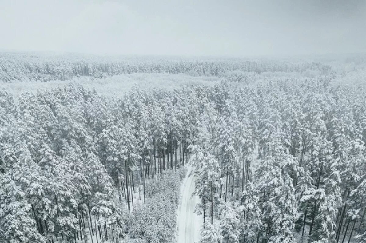    В Карелии может появиться тематический парк с домиками в стиле хоббитов