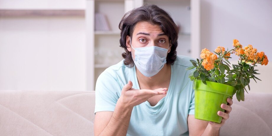    Фото: depositphotos/Elnur_