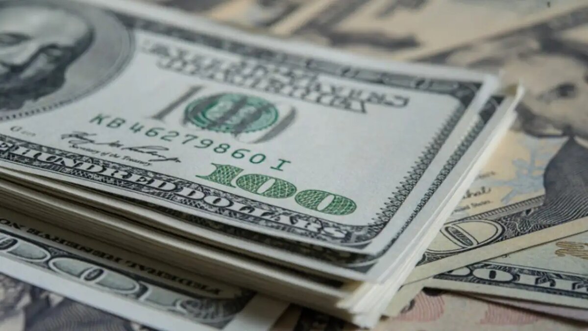    Доллары США. © freepik.com/jcomp