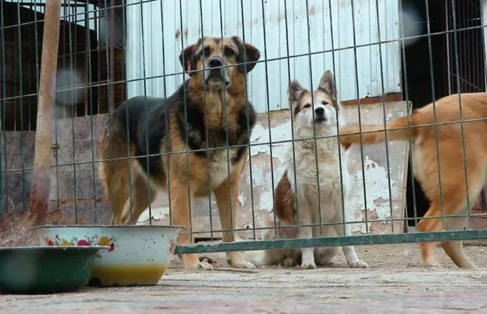 Фото носит иллюстративный характер: stock-clip.com