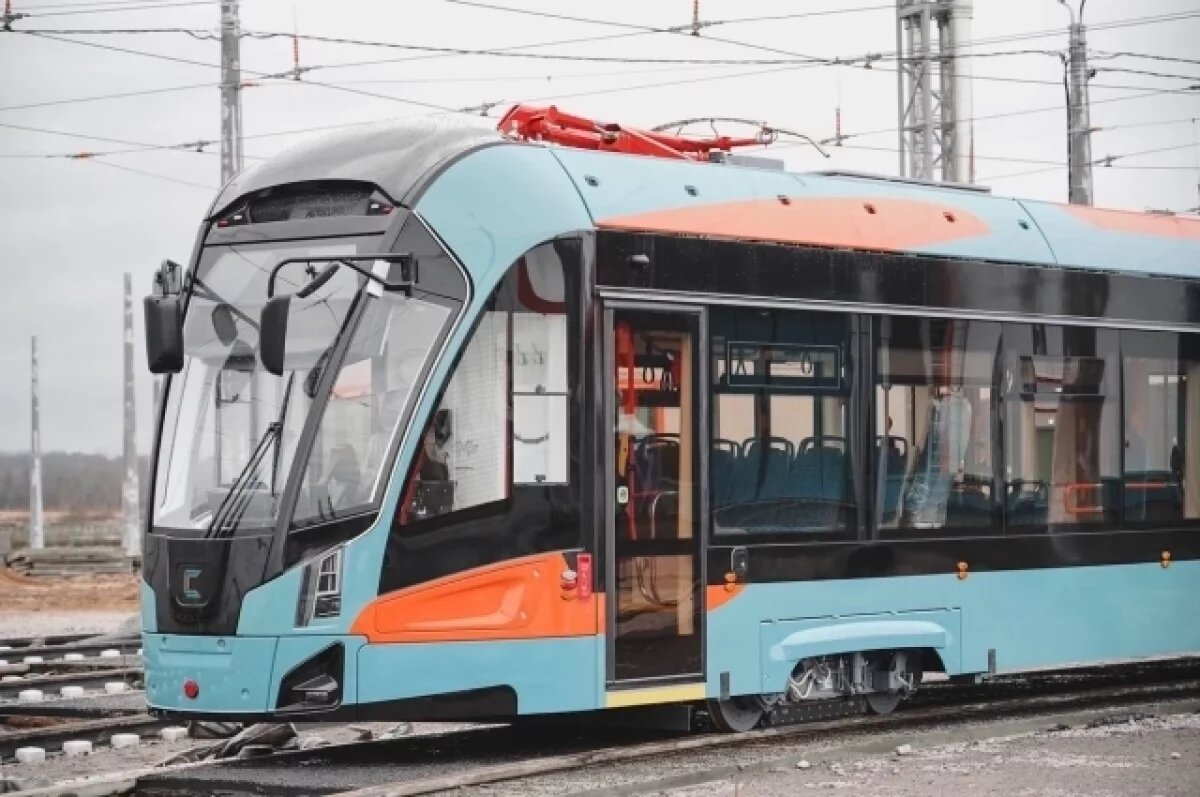    Трамвайную линию «Славянка» собираются продлить до кампуса СПбГУ