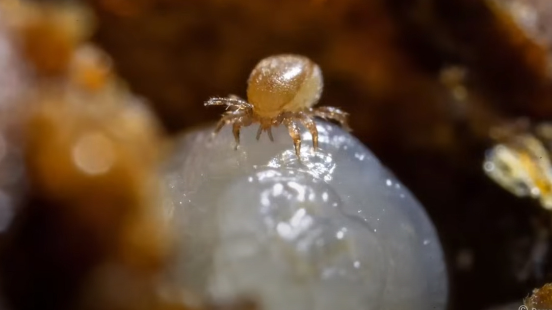 фото просто так...