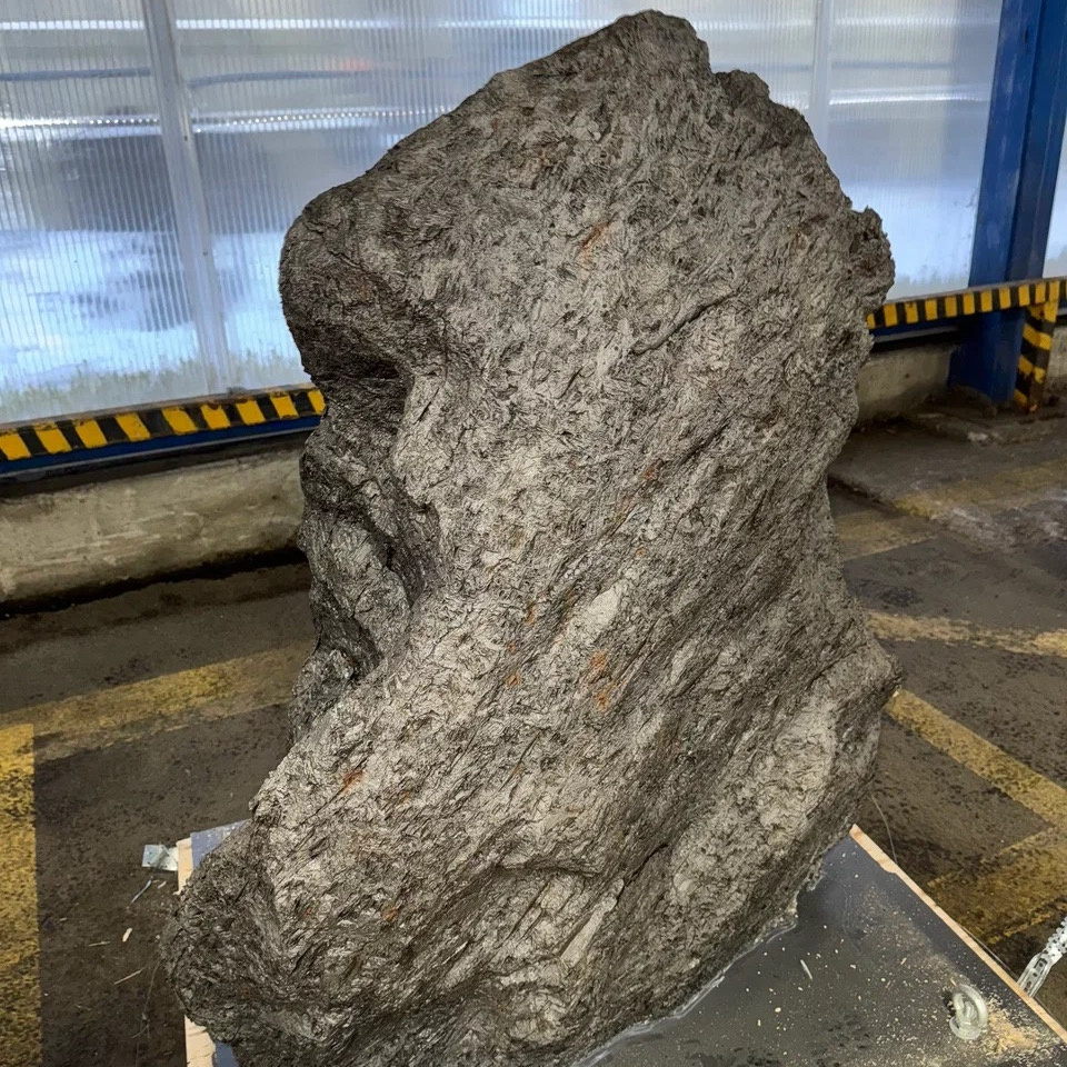 Фрагмент метеорита Алетай / Фото: ФТС России