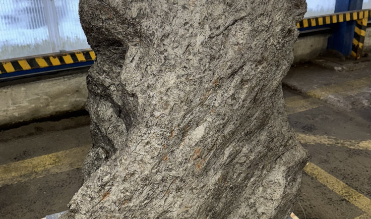    Фрагмент метеорита Алетай. Фото: sztu.customs.gov.ru