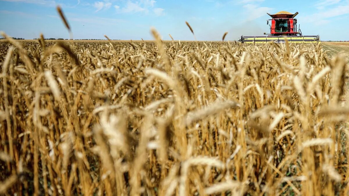 Фото: Кирилл Брага / РИА Новости