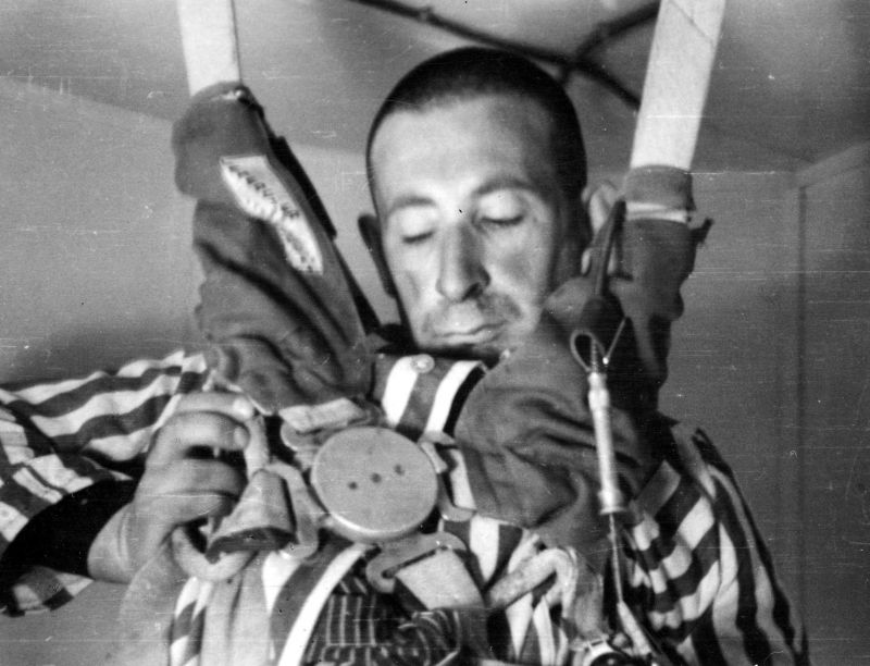 Фото из свободных источников.