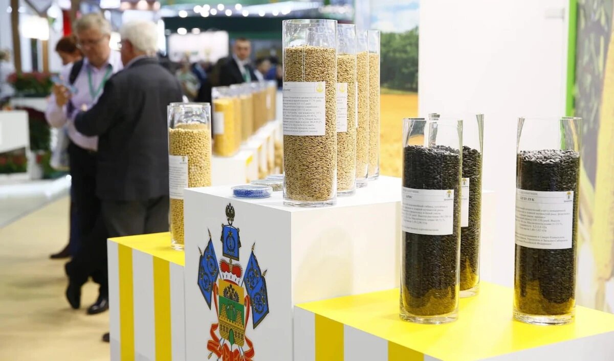    Фото пресс-службы администрации Краснодарского края