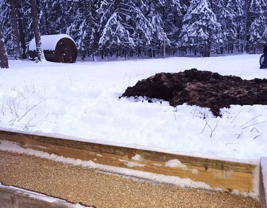     "Общественная столовая" в зимнем лесу: как кормят диких животных