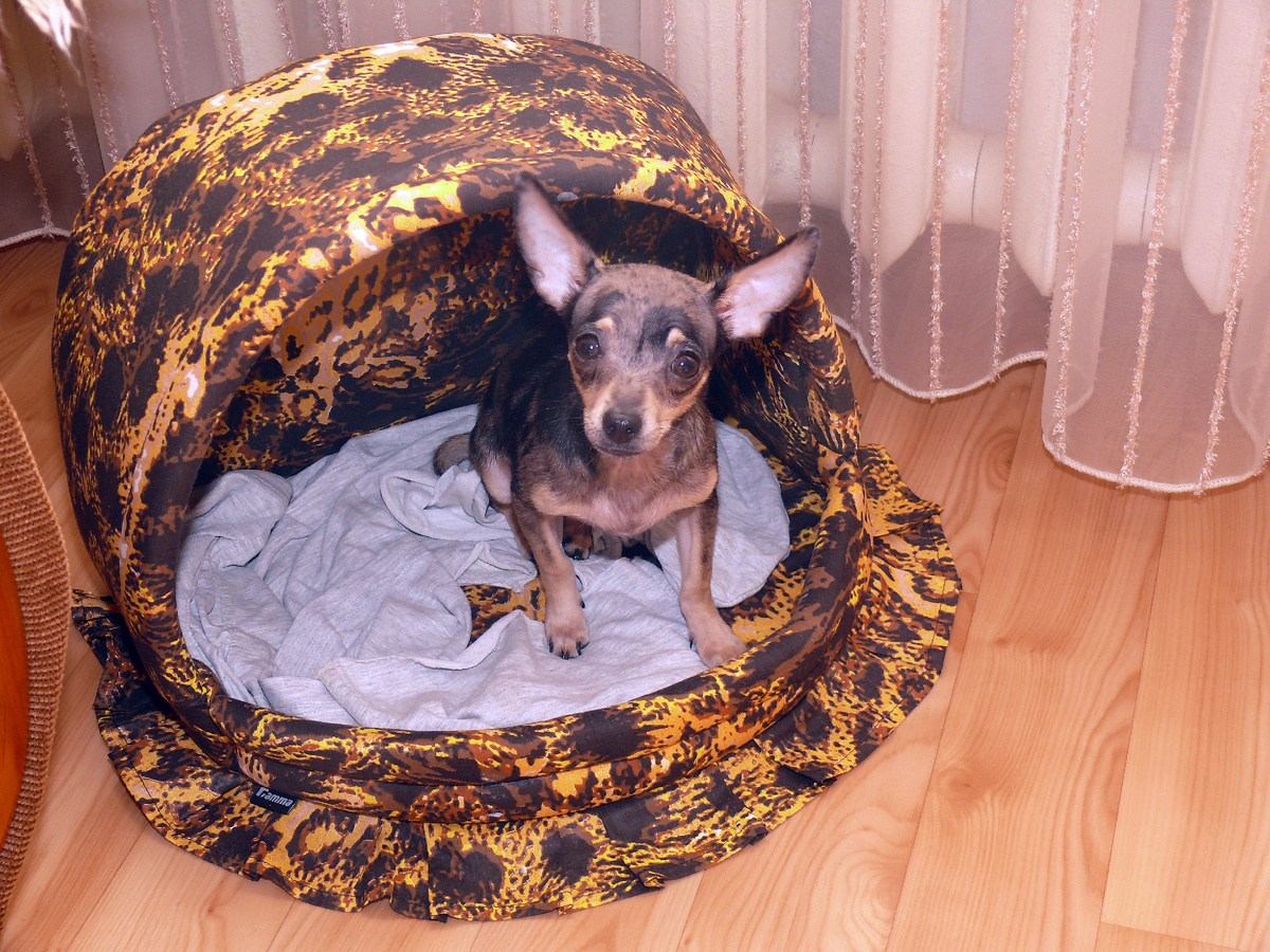 личный архив