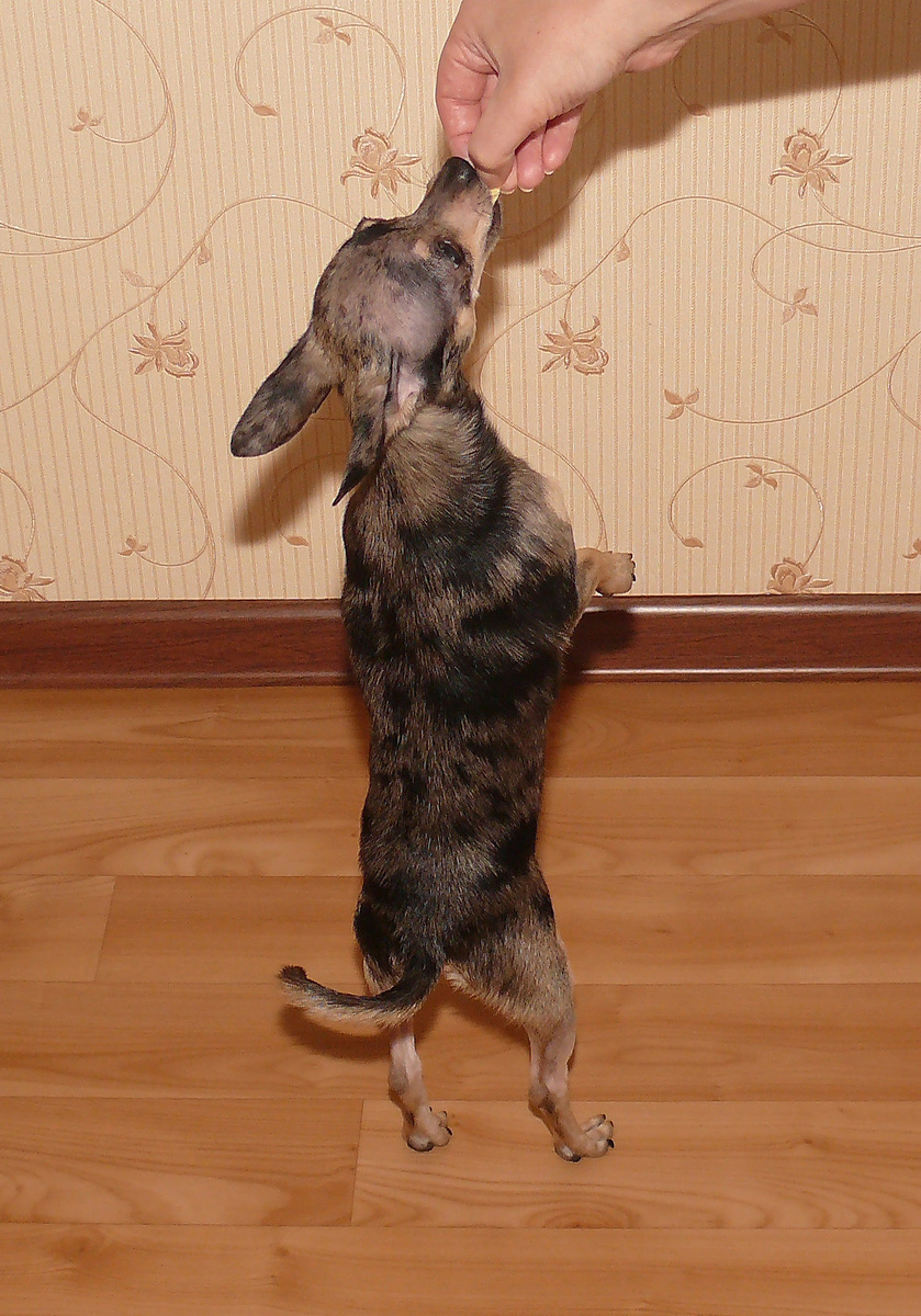 личный архив