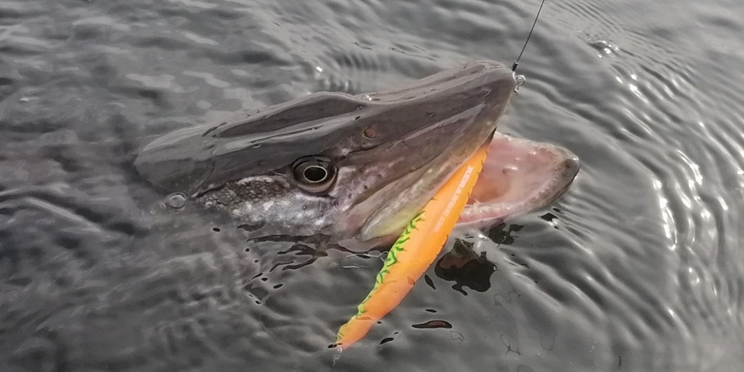 «Тяжёлый» воблер Jackall Rerange 130SP