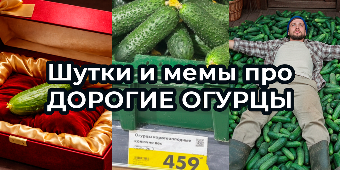 Шутки и МЕМЫ про ОГУРЦЫ 2026. Подборка про их СТОИМОСТЬ и ЦЕНУ