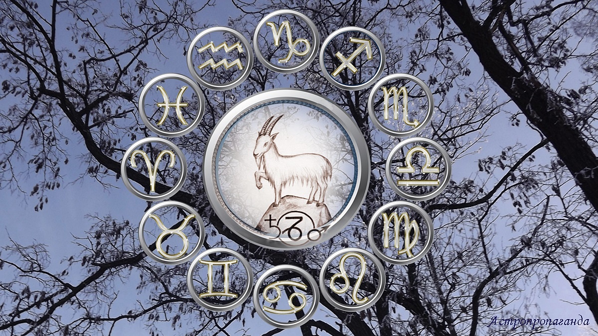 Гороскоп для Козерога со 2 февраля по 1 марта 2026.