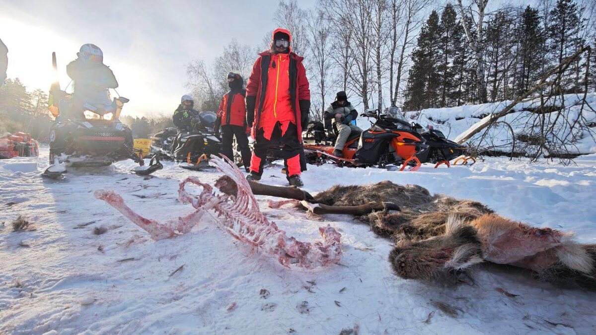 Фото: Telegram-канал "Весь Урал на снегоходах" 