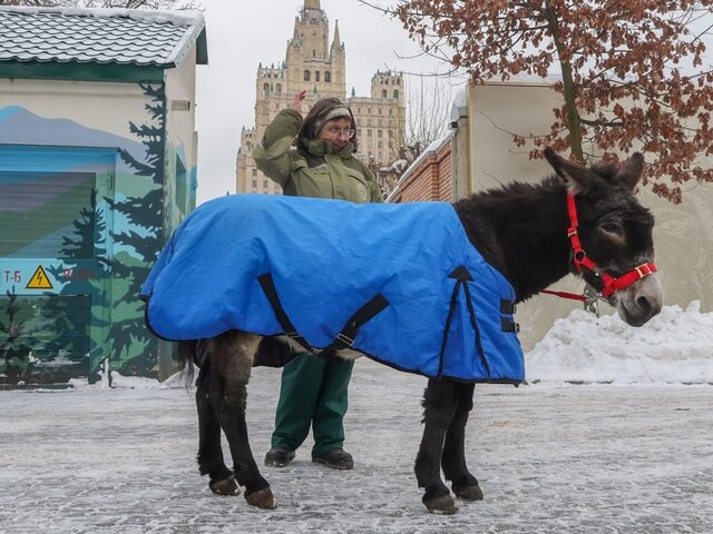   Фото: ТАСС/NEWS.ru/Наталья Шатохина