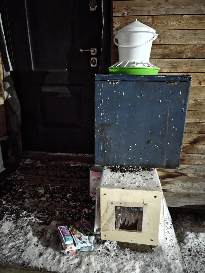 Листайте вправо, чтобы увидеть больше изображений