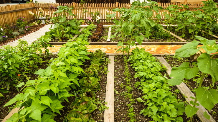 Мой участок сегодня - минимум усилий, максимум результата