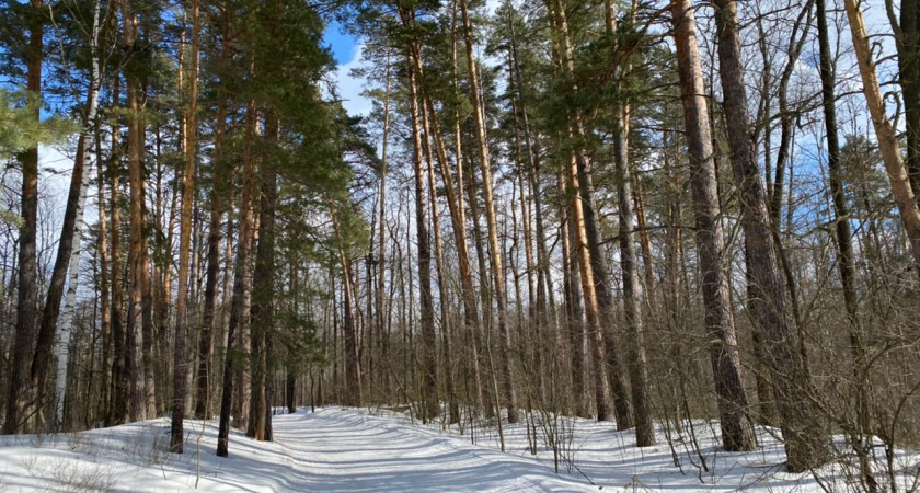    Пресс-служба Правительства Тамбовской области