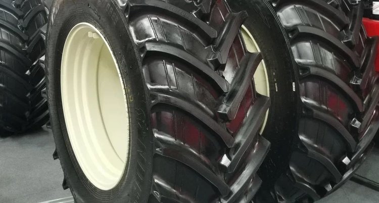    Фото: Лукьянов Дмитрий, AgroXXI.ru