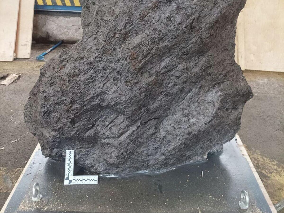    Предотвращен незаконный вывоз уникального метеорита возрастом 4,5 миллиарда лет | © Фото : ФТС России