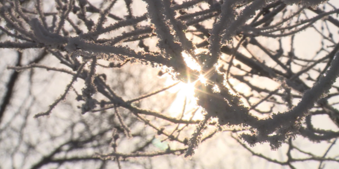 Синоптик Тишковец рассказал о грядущем потеплении на Русской равнине