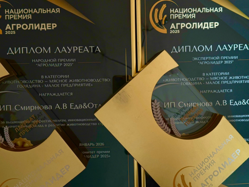 Фото: "Волжская новь"