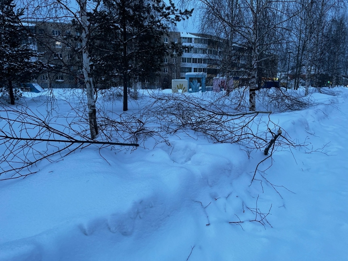 Североуральск ул. Ленина парк молодёжный.