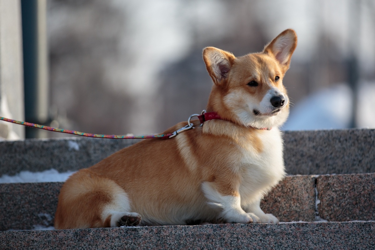 пресс-служба правительства Иркутской области