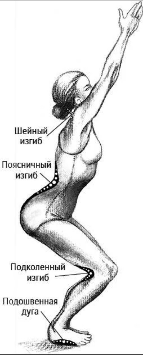 Фото из книги Йога тонкого тела Тисс Литтл