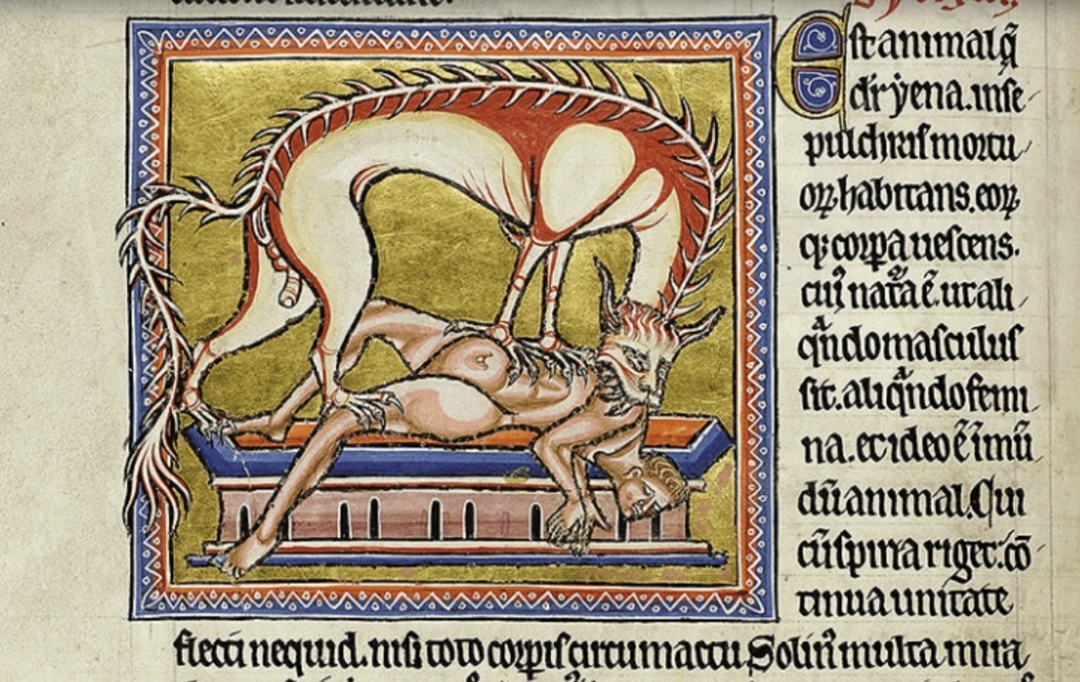 Миниатюра с гиеной. Абердинский бестиарий. XII век. Библиотека Абердинского Университета.