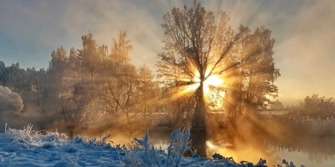 Рыжая ведьма.