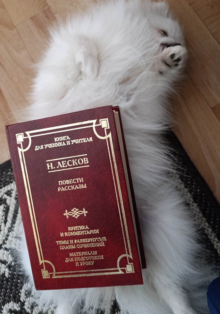 Сегодня книгу из школьной библиотеки снова представляет Бэлла (ей вообще везёт на представление классики) 