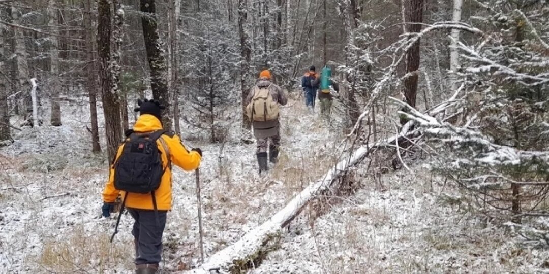 В Кировской области бесследно пропал 21 человек, один из них погиб
