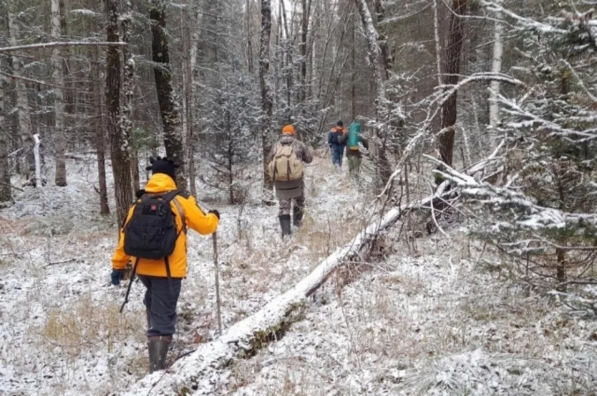    18 пропавших людей нашли живыми.