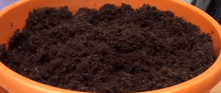 кокосовый субстрат