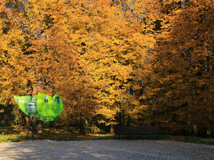     Дендропарк был создан Ильей Пархоменко как научно-исследовательский центр. Фото: портал Администрация Холмского муниципального округа