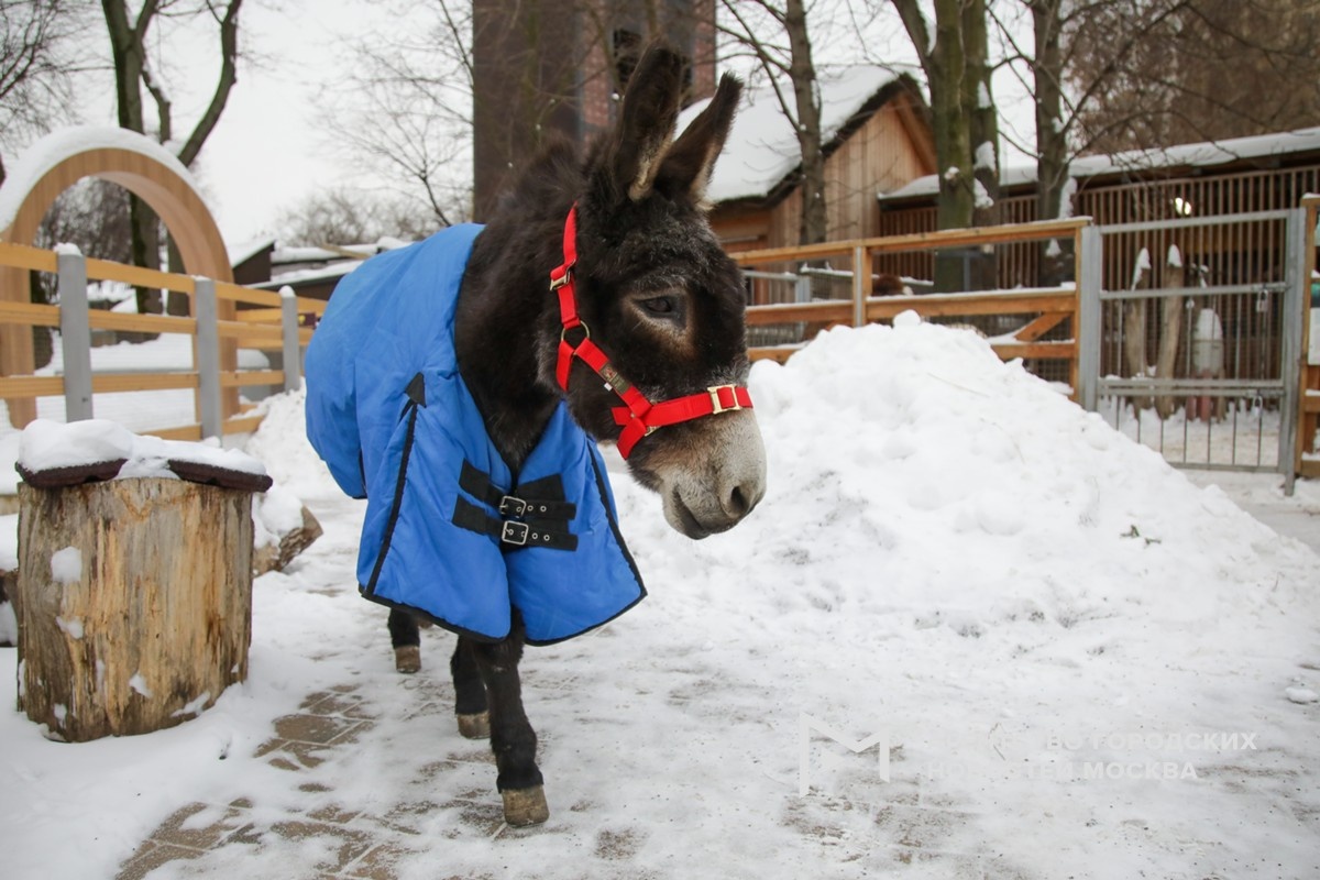 Фотограф: Артур Новосильцев