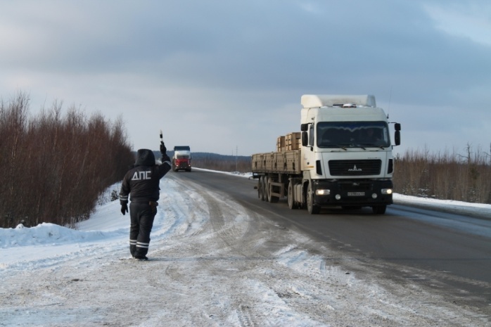   Фото: omskgazzeta.ru Веселовские вести