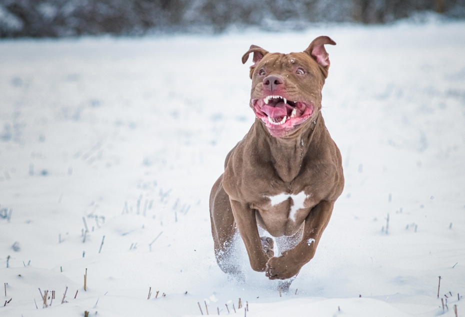    Shutterstock/FOTODOM